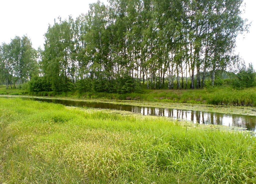 Загорянское. Клязьма