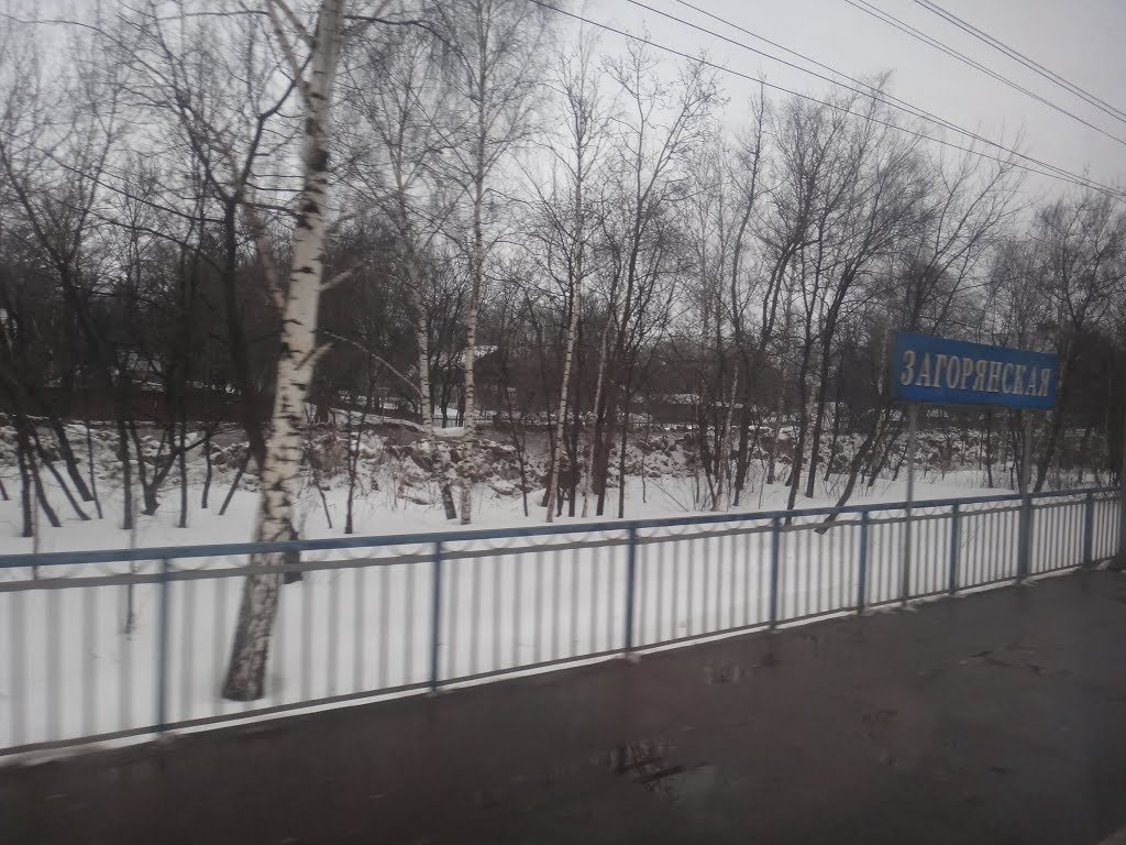 Платформа Загорянская