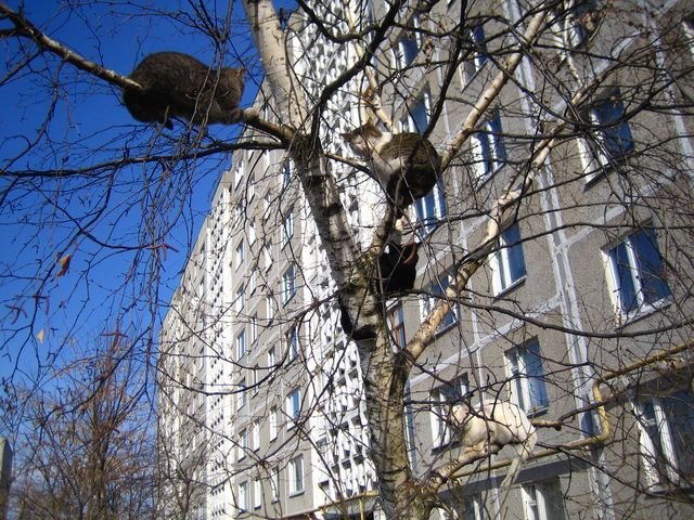 Дом №18. Весна 2008г.
