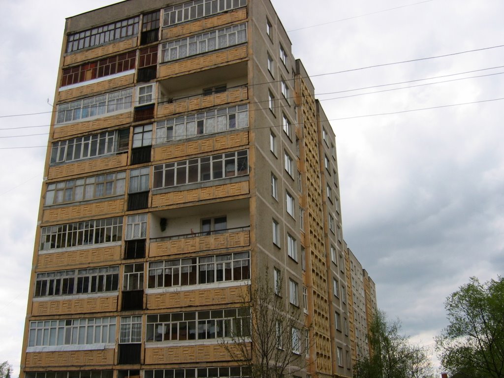 1 дом