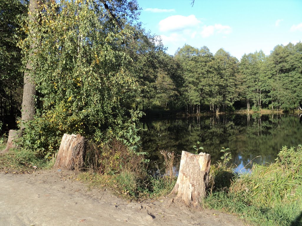 Жукова гора