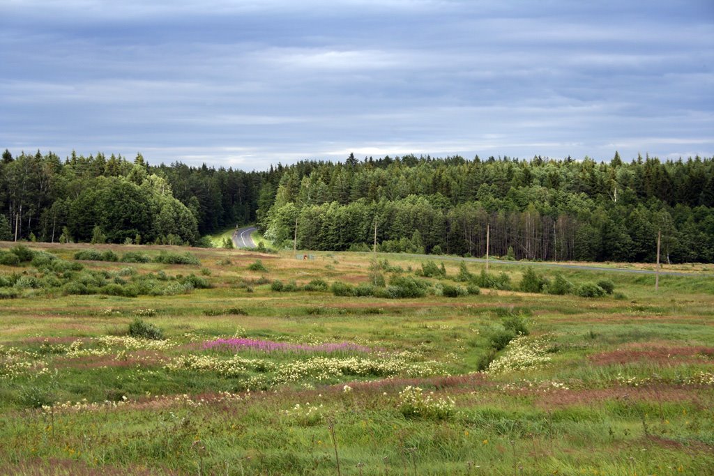 river&road