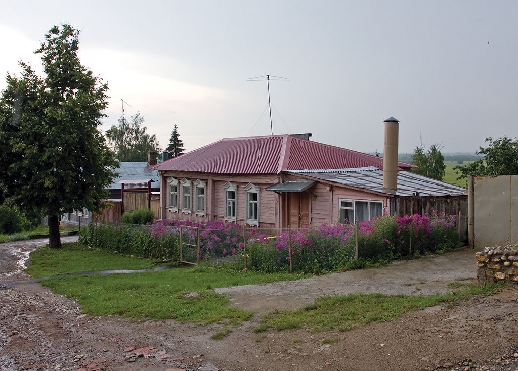Pink village house / Zaraysk, Russia