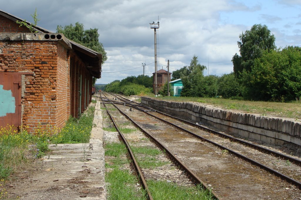 Зарайск