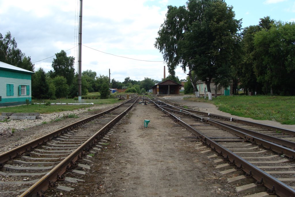 Зарайск