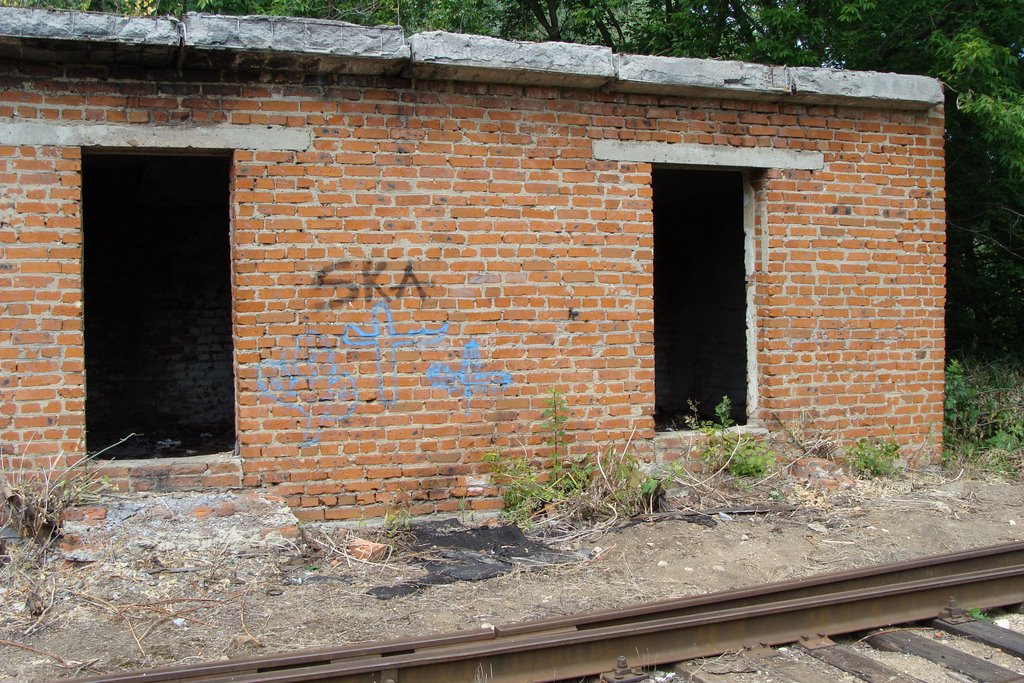 Зарайск