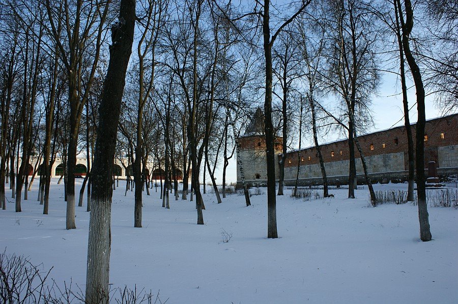 Зарайский кремль