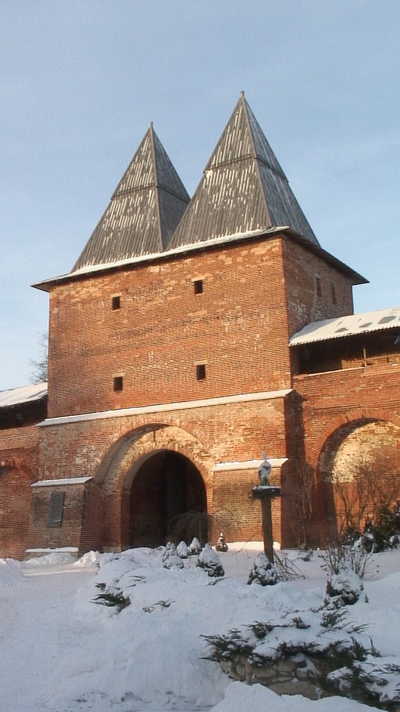 2009-01-05 04 Зарайск