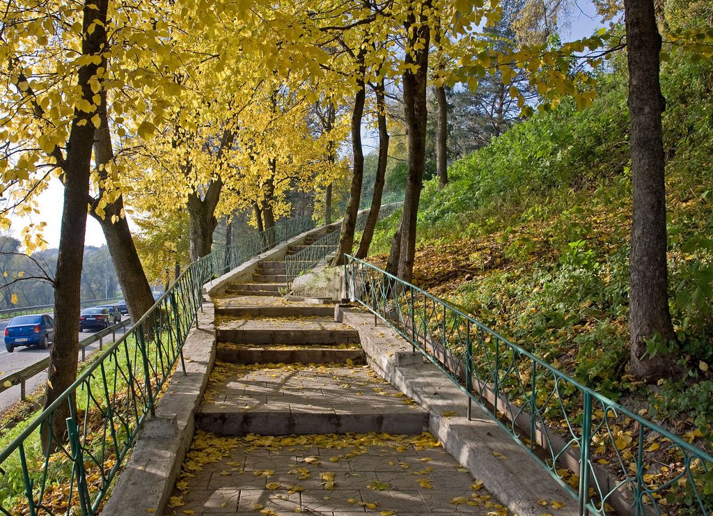 Staircase to Gorodok / Zvenigorod, Russia