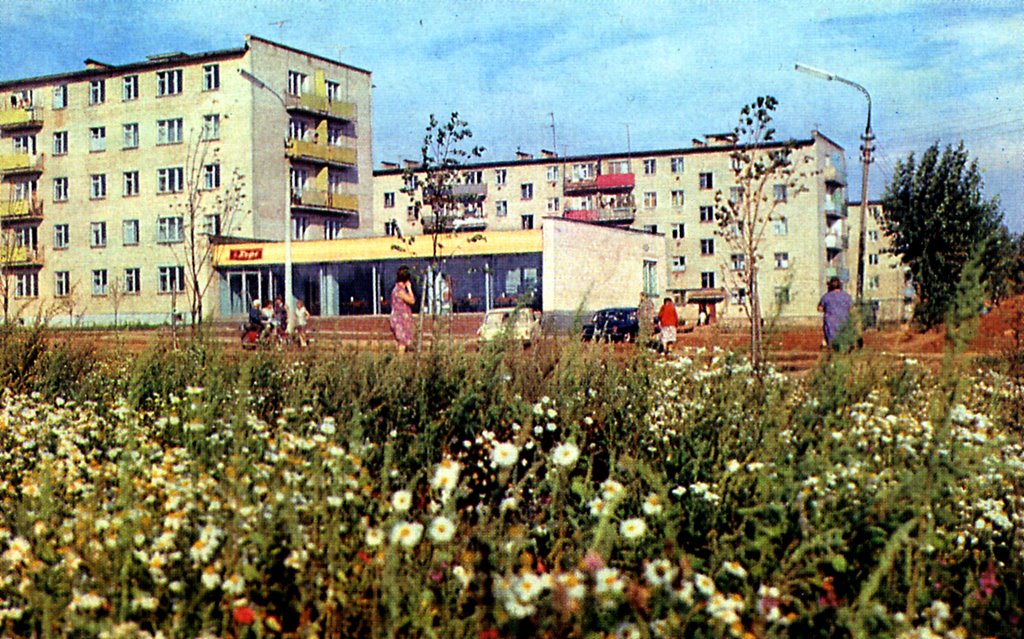 Квартал Маяковского (1974 год)