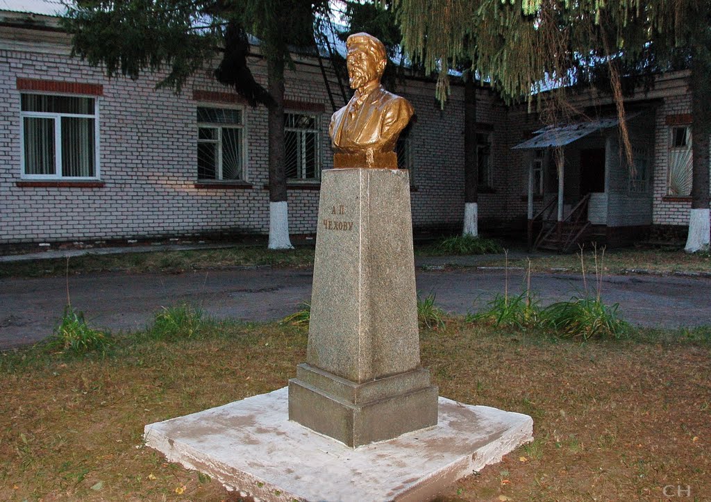 Звенигород. Чехов А.П.