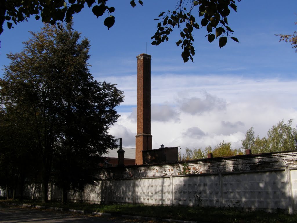 Ростелеком