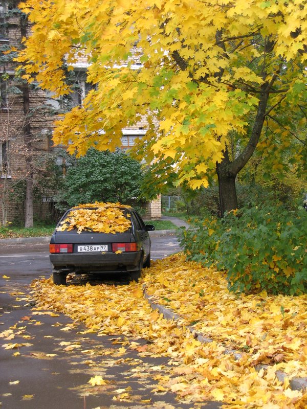 Октябрь уж наступил ...