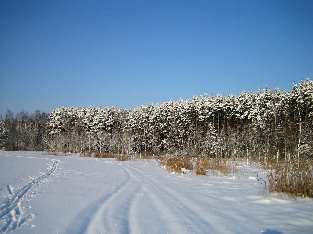 Зеленоград