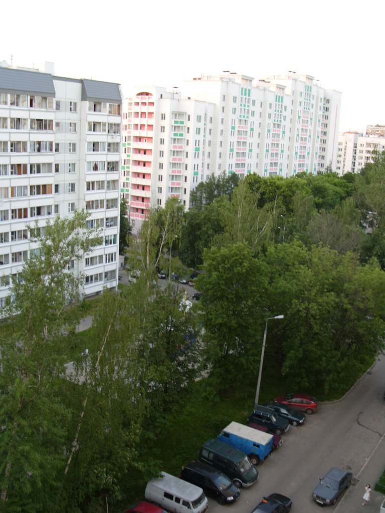 Вечером 30 мая на Березовой аллее