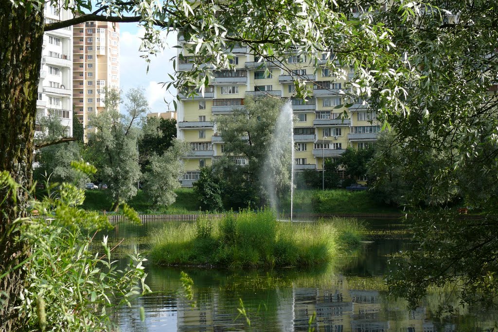 Россия. Зеленоград, Быково болото. Russia. Zelenograd, Bykovo a bog.