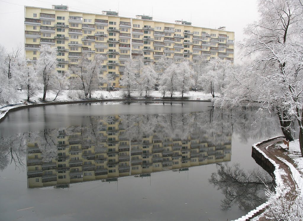Корп.161. Отражение
