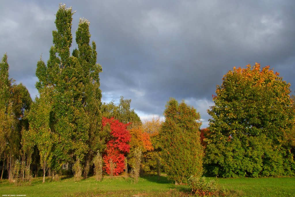 Россия. г. Зеленоград. Осень. Russia. Zelenograd. Autumn.