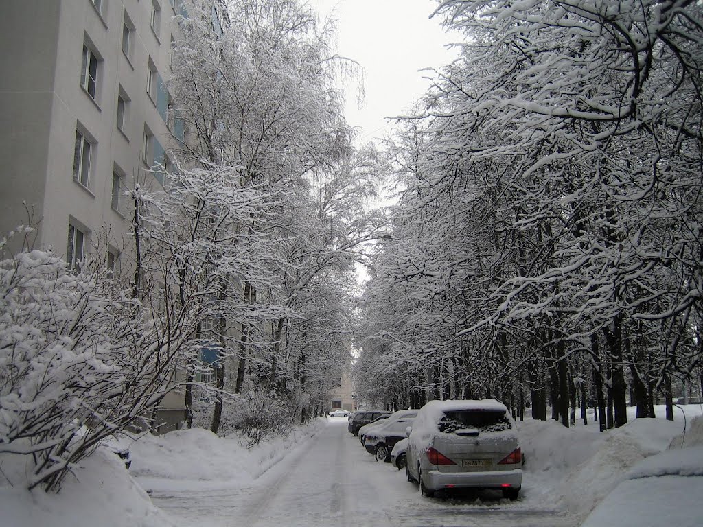 Предвесенняя улочка моего города. Зеленоград