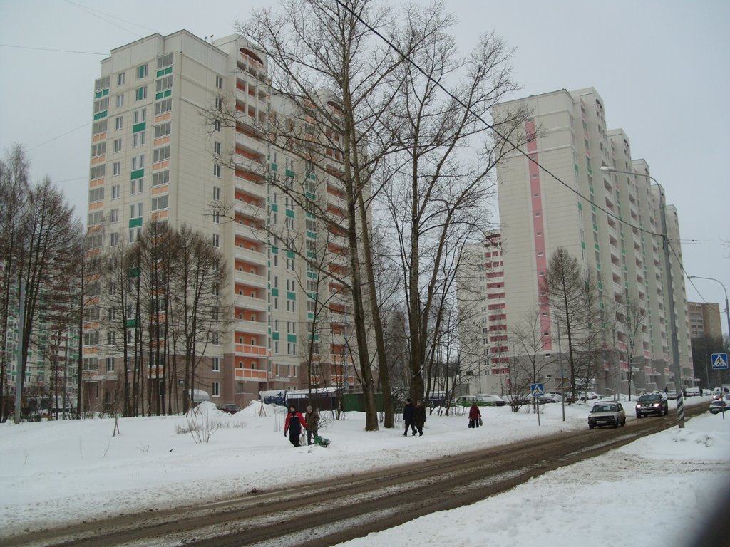 Новые дома на улице летчика Полагушина