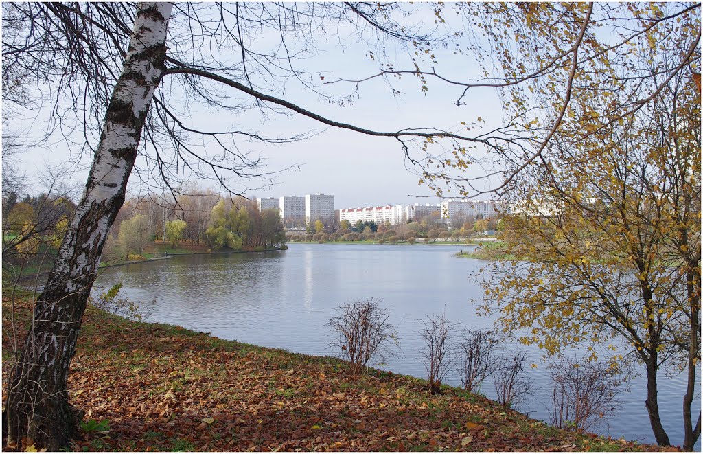 Зеленоград. Городской пруд. 10.2012.