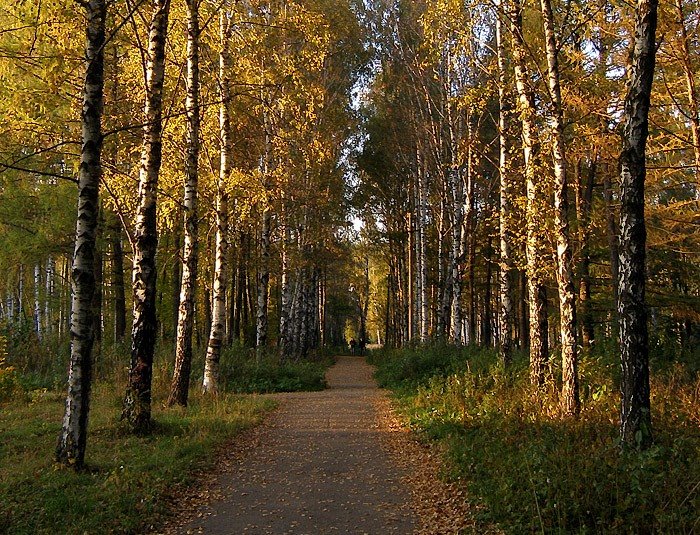 Городской парк