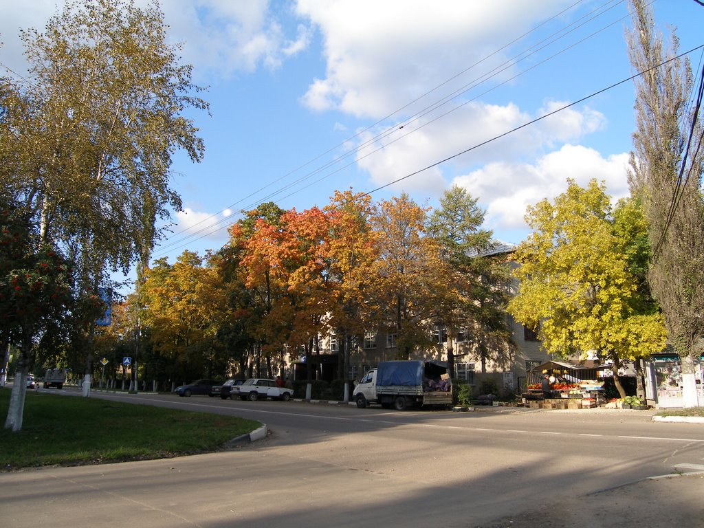 На Советском проспекте