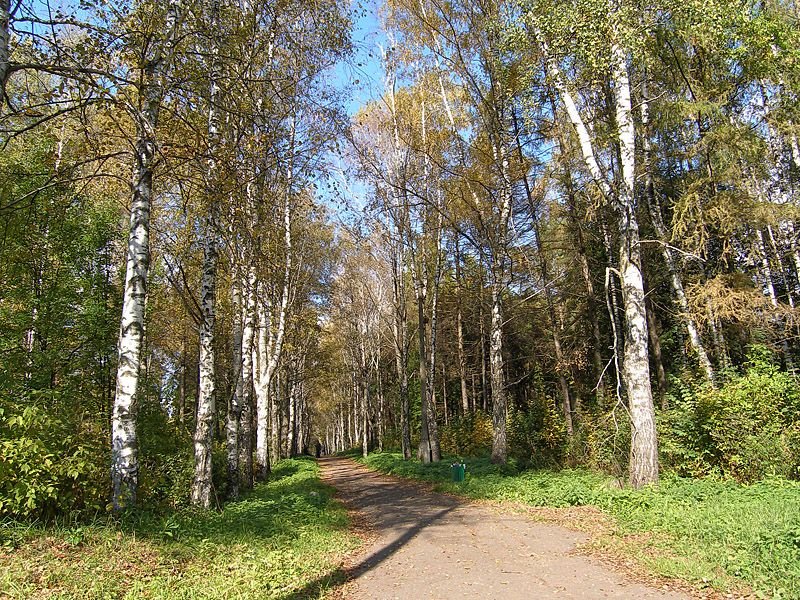 В парке