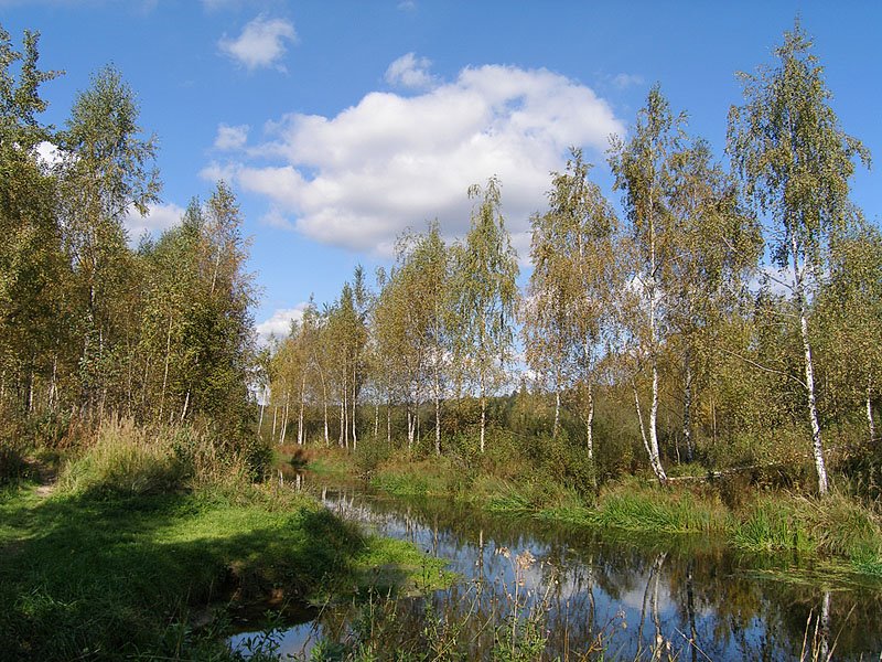 Канал в парке