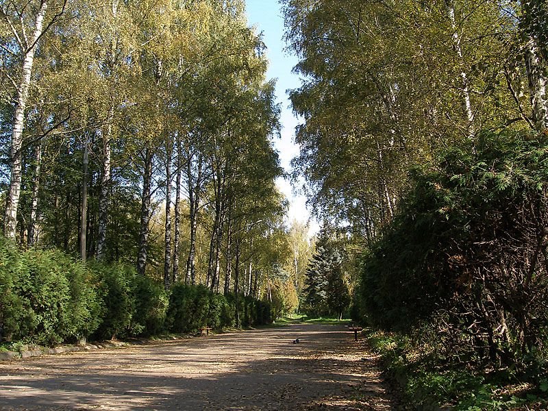 Ивантеевский парк