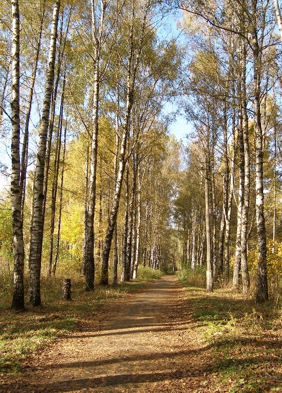 Городской парк