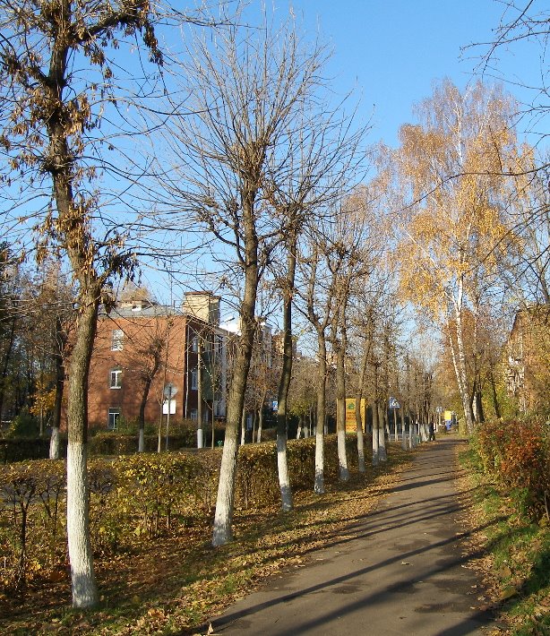 Советский проспект