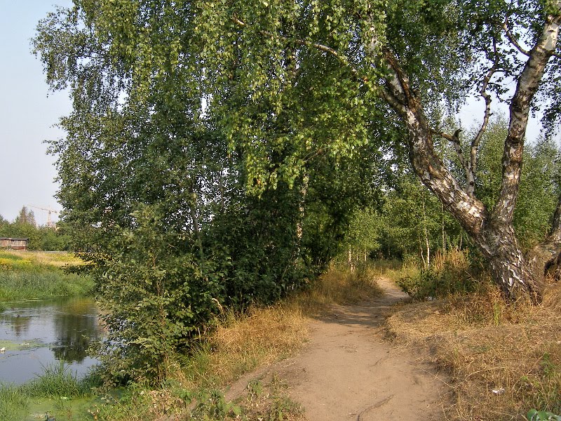 Берег Учи