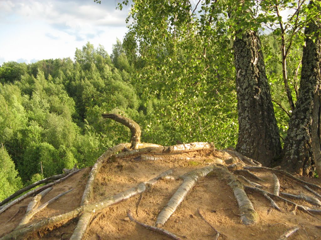 Сеть из корней (Network from roots)