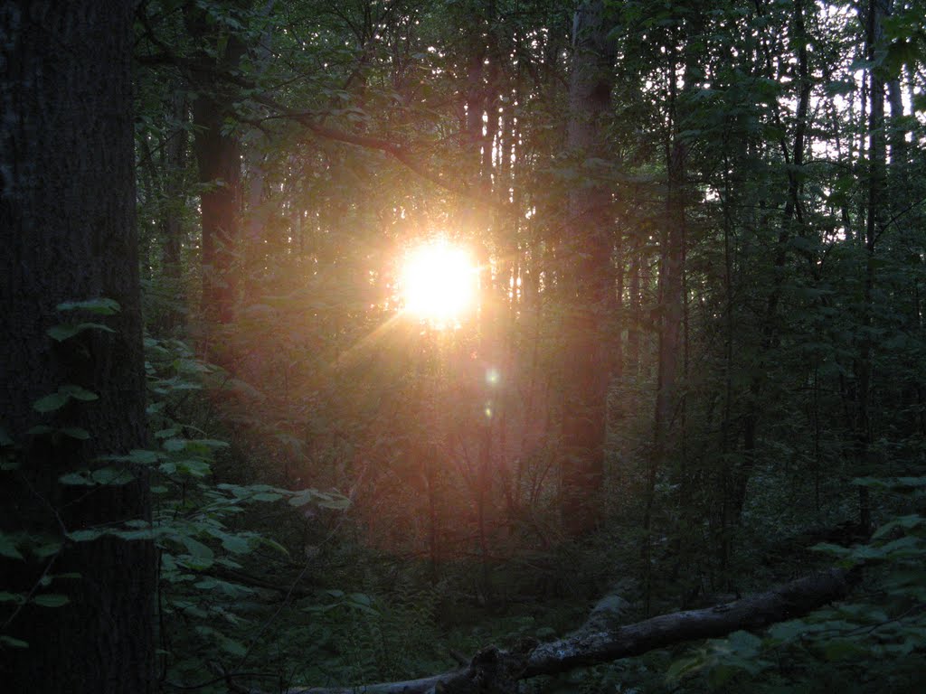 Таинственный свет (Mysterious light)