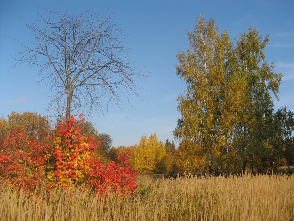 Краски осени (Рaints of autumn)