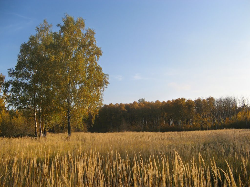 Золотая осень (Golden autumn)