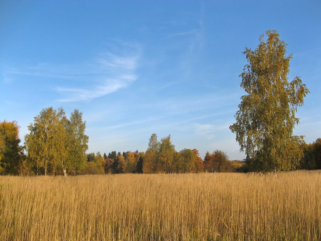 Осенние просторы (Autumn distances)
