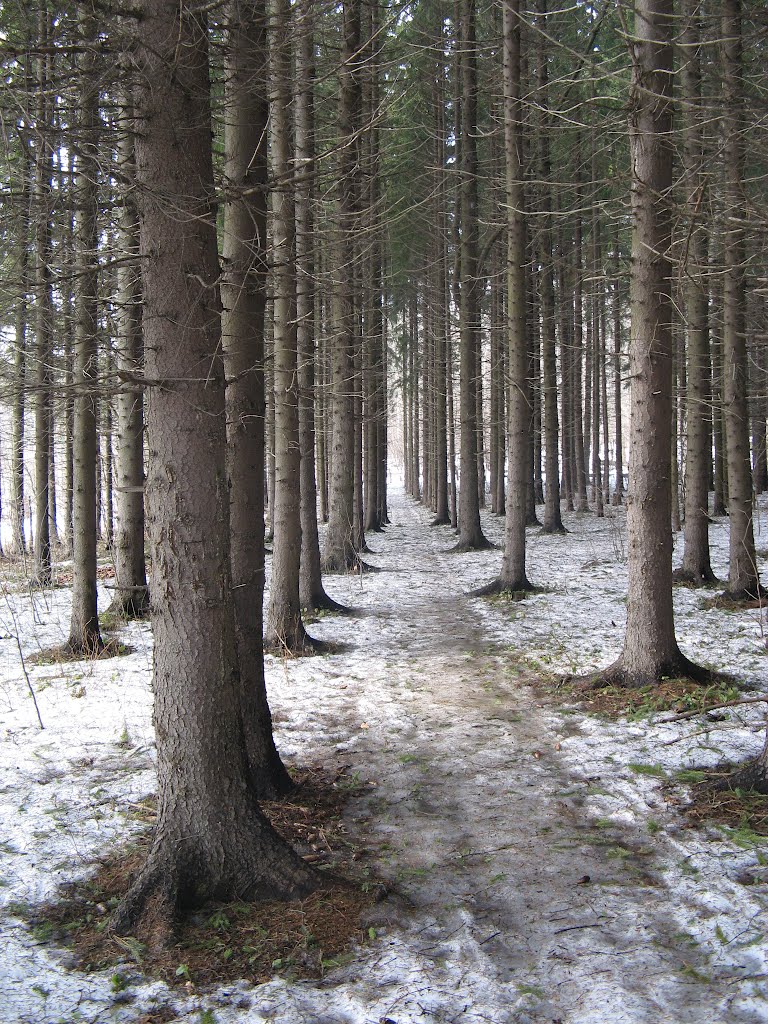 Тает снег (Snow thaws)