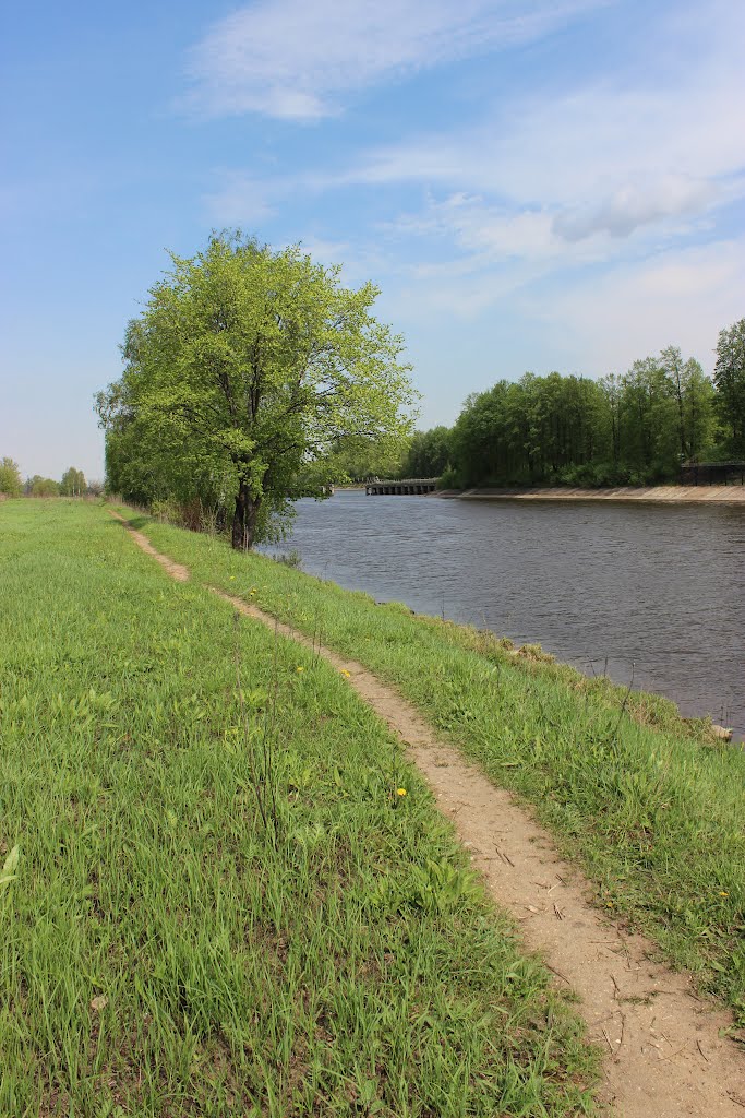 Весенняя прогулка (Spring walk)