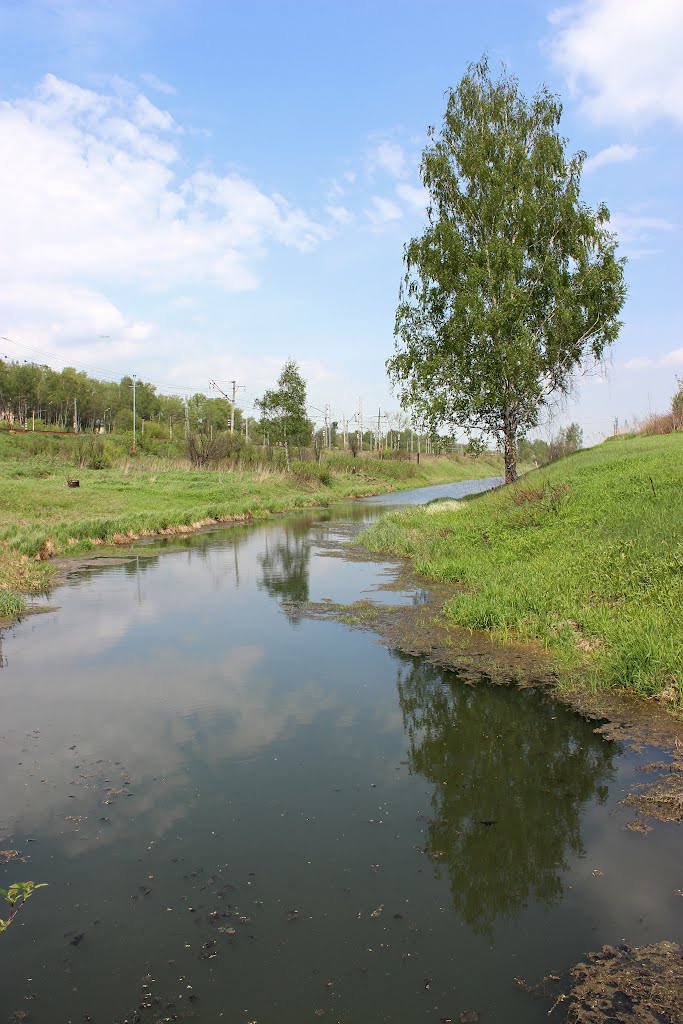 Разлив (Flood of the rivers)