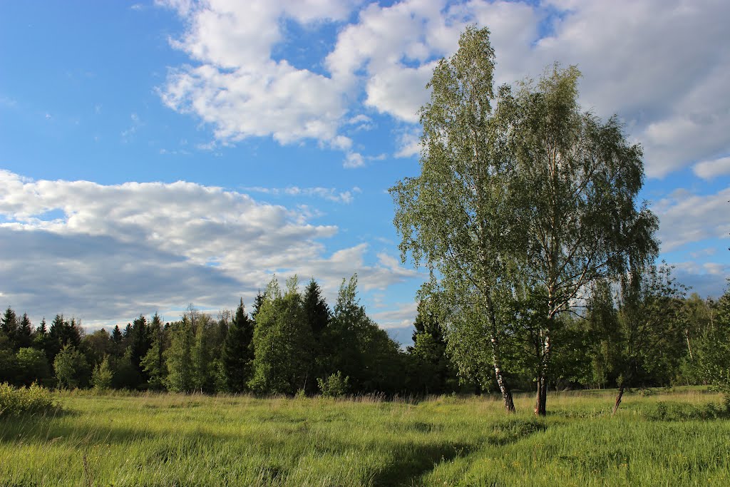Июньский вечер (June evening)