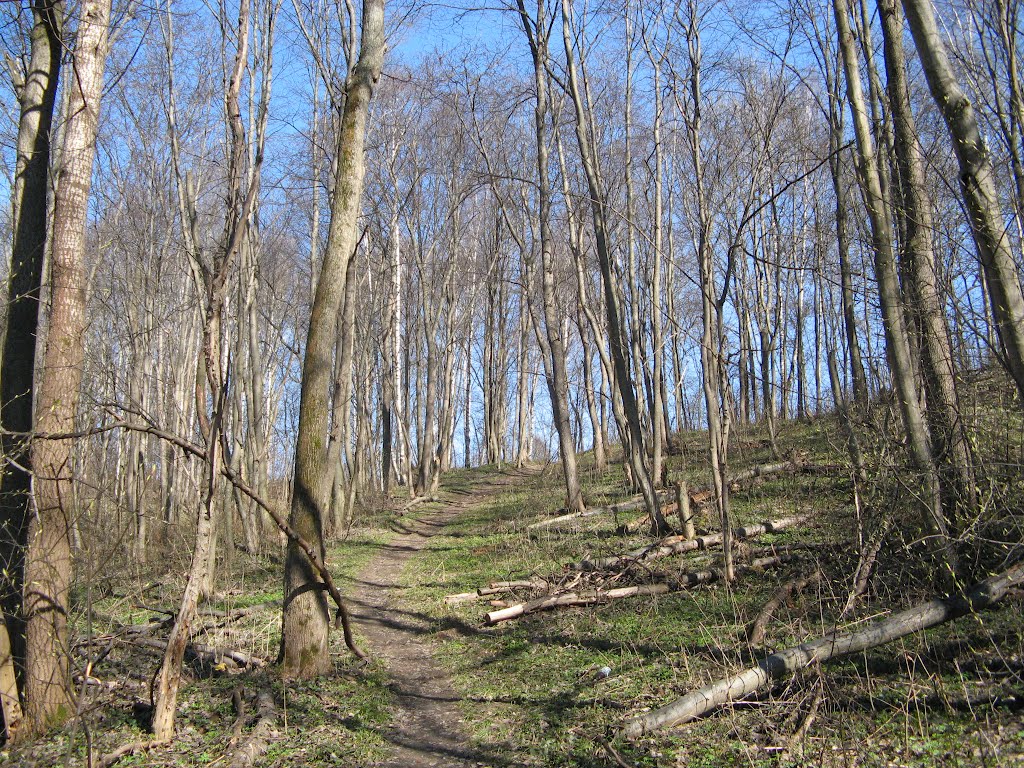 Тёплый апрель (Warm April)