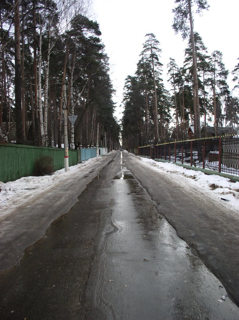 Улица Ленинская