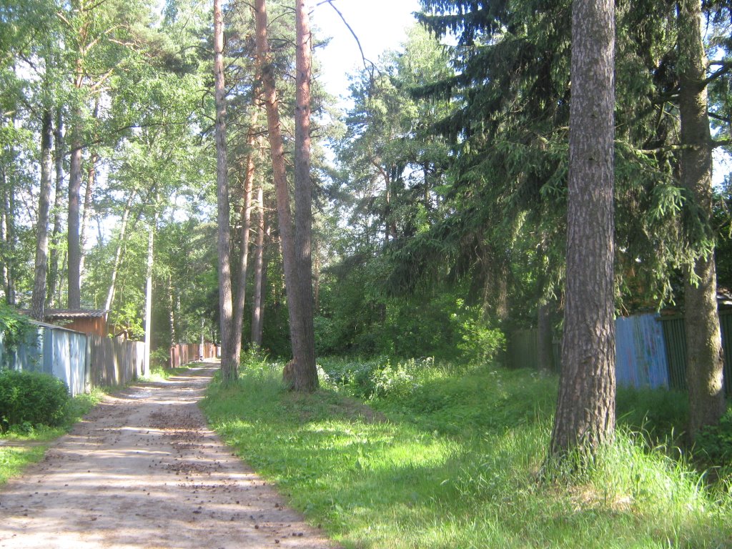 Улица К. Маркса