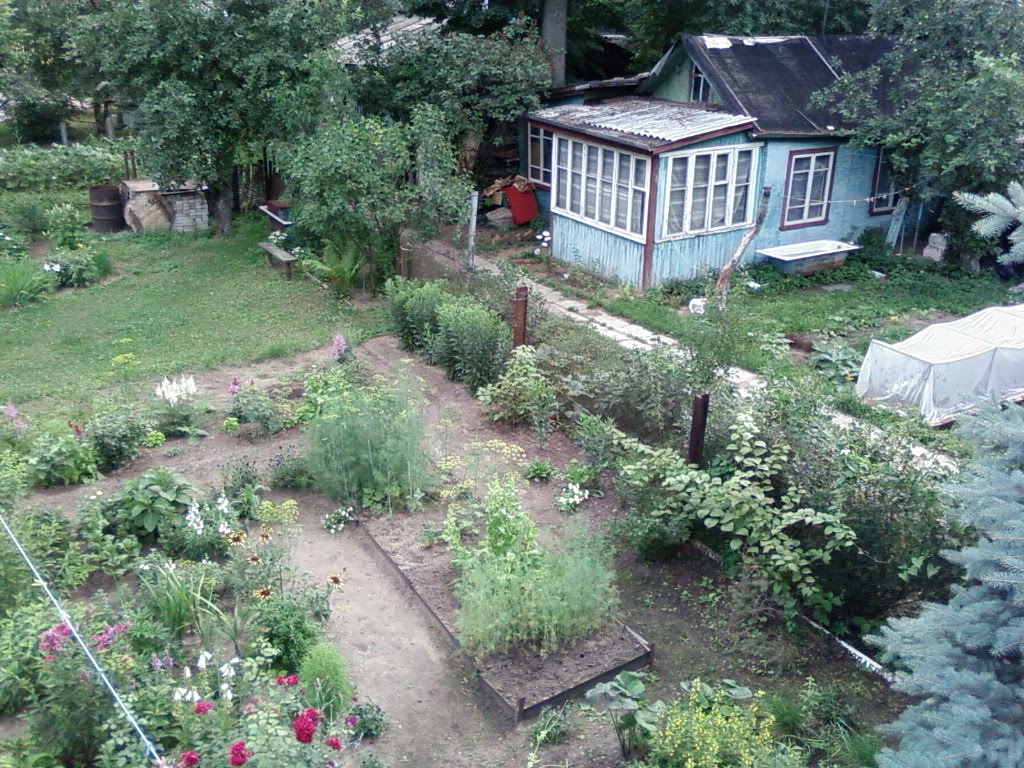 Двор с крыши / Yard with a roof