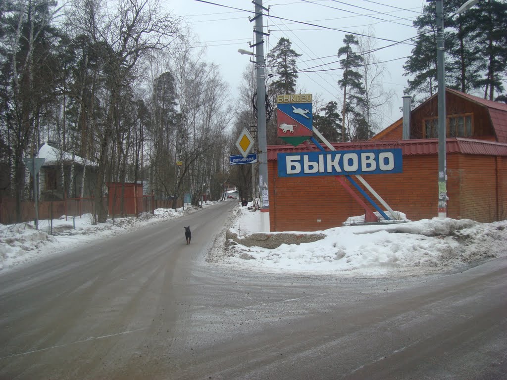 Развилка