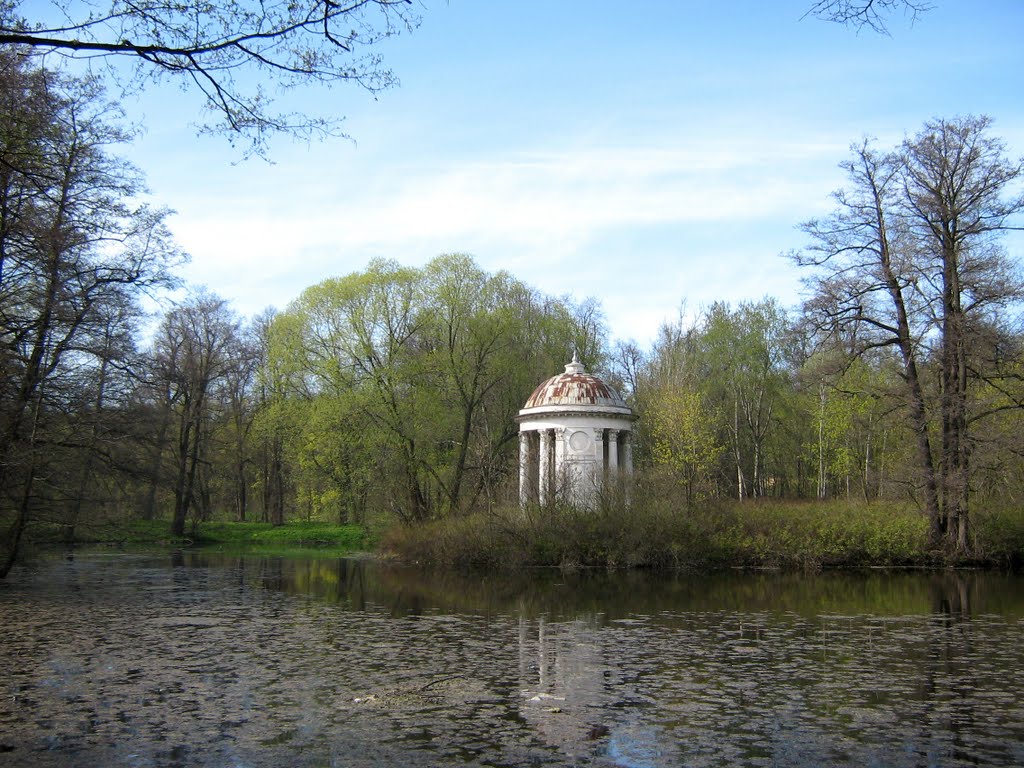 быково воронцовский парк