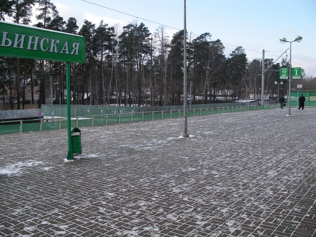 Станция Ильинская