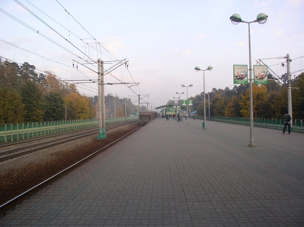 Ilinskoe